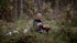 Observationer Lotta Löthgren